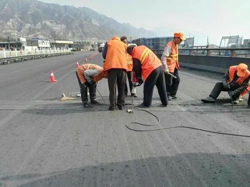 天峻道路桥梁病害治理